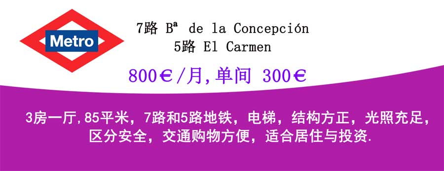 房子出租-西班牙马德里-www.canaleschino.com